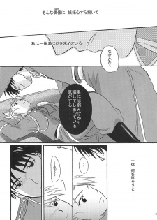 [REONGUMI] Doko ka Hukai Tokoro (Fullmetal Alchemist) - page 18
