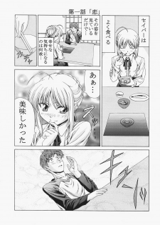(C72) [Jishou Seijunha (Hiroyuki)] Saber ~Hiroyuki Fate Doujinshi Soushuuhen + α~ (Fate/stay night, Tsukihime) - page 13