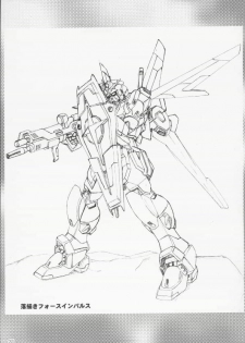 (C68) [AKKAN-Bi PROJECT (Yanagi Hirohiko)] RED BRAVO (Mobile Suit Gundam Seed Destiny) - page 30
