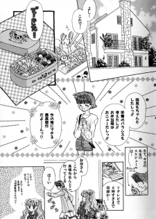 [Akiba Jiro] Love Love Lunch - page 47