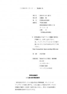 (COMIC1☆4) [D'ERLANGER (Yamazaki Shou)] Kasumi dayori Santei (Dead or Alive) - page 18