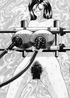 [White Elephant] Kikai Inkei Kannou Gasyuu - page 24