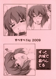 (COMIC1☆3) [SubeSube1kg (Narita Kyousha)] Zutto Oshiro de Kurashiteru (Zero no Tsukaima) - page 20