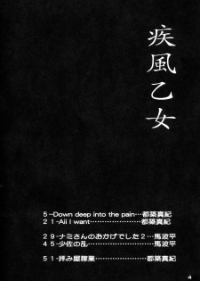 (C67) [PINK VISION (Tsuzuki Masaki)] Shippuu Otome (Various) - page 3