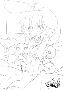 (C77) [eins (Kurata Tomo)] Usagisan ni Goyoujin!! (Touhou Project) - page 2