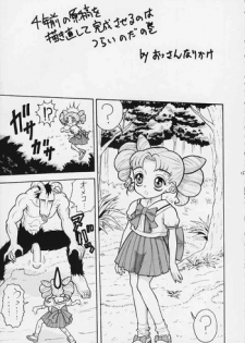 Chibi Moon (unknown doujin or story) (Sailor Moon)