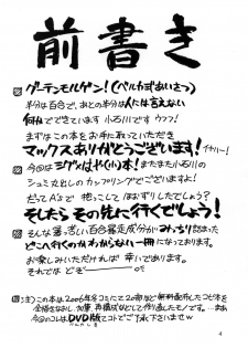 [Syamisen Koubou] RUNNERS HIGH (Magical Girl Lyrical Nanoha) - page 3
