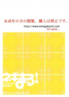 (CR37) [Studio KIMIGABUCHI (Kimimaru)] Negimaru! 3 (Mahou Sensei Negima!) - page 39