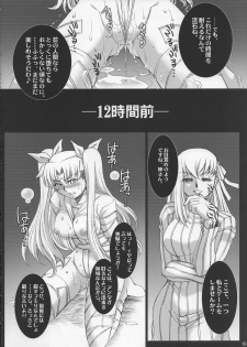 (COMIC1☆2) [H.B (B-RIVER)] Red Degeneration -DAY/3- (Fate/stay night) - page 9