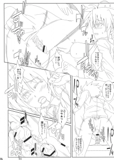 (C73) [CHICKEN Shark (Kurosyo)] Signum→Funclub (Magical Girl Lyrical Nanoha) - page 13