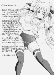 (C77) [Rivajima (Yajima Index)] Niiduma Fate (Mahou Shoujo Lyrical Nanoha) - page 2