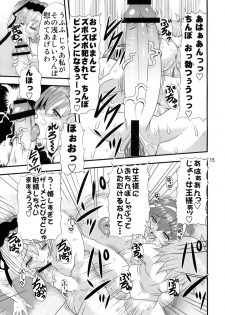 (COMIC1☆4) [Acid Noel (Mitsuki Rintarou)] Innikujyuu (Seikon no Qwaser) - page 14