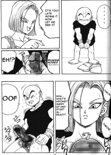 (C71) [Rehabilitation (Garland)] DragonBall H Maki San (Dragon Ball Z) [English] [hyarugu] - page 14