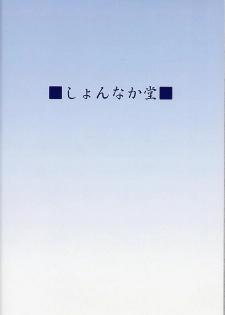 [Shonnakado (Mitsurugi Ken)] Ainsu (Mahou Shoujo Lyrical Nanoha) - page 30