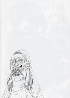 [Shonnakado (Mitsurugi Ken)] Ainsu (Mahou Shoujo Lyrical Nanoha) - page 27