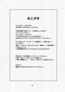 (C78) [Nakayohi (Izurumi)] Rental Asuka (Neon Genesis Evangelion) - page 18