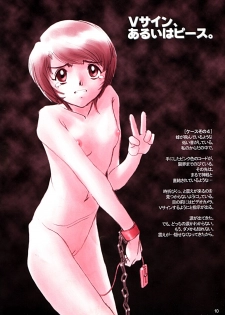 [Studio309 (Horimoto Akira) Dynamic Lolita Library CE2.0　 - page 9