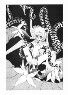 (C43) [Ebisen Kikaku (Imaka Hideki)] Honnama Koikuchi (Bishoujo Senshi Sailor Moon) - page 21