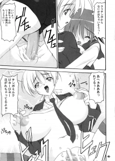 (C78) [EXtage (Minakami Hiroki)] P.H.N (Strike Witches) - page 15