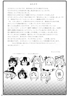 (C78) [Nounai Kanojo (Kishiri Toworu)] Remilia kara no Chousenjou (Touhou Project) - page 4