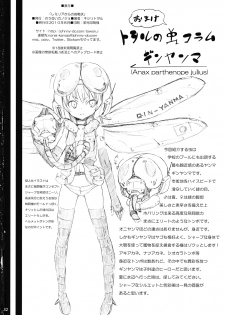 (C78) [Nounai Kanojo (Kishiri Toworu)] Remilia kara no Chousenjou (Touhou Project) - page 32