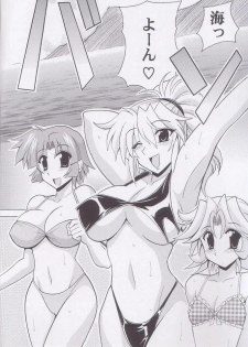 (C68) [Leaz Koubou (Oujano Kaze)] O.G.SUMMER (Super Robot Taisen) - page 5