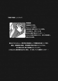 (C78) [Otomekibun (Sansyoku Amido.)] Gakkou de Seishun! ~Doukyuusei mo Issho~ 4 - page 3