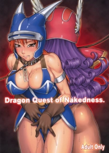 [Nagaredamaya (BANG-YOU)] DQN.RED + GREEN + BLUE (Dragon Quest of Nakedness. RED + GREEN + BLUE) (Dragon Quest) [English] {doujin-moe.us} [Incomplete]