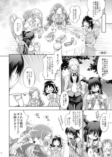 [Houenken (Inase Shinya)] Glow Flower (Heart Catch Precure) - page 31