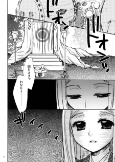 (C78) [Crazy Cats (Suzuki Mira, Oonami Youko)] Himekami -Mutsuki- - page 44