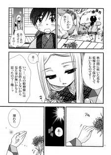 (C78) [Crazy Cats (Suzuki Mira, Oonami Youko)] Himekami -Mutsuki- - page 11