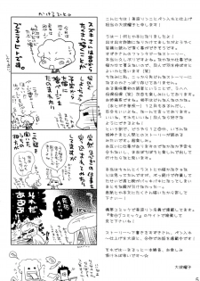 (C78) [Crazy Cats (Suzuki Mira, Oonami Youko)] Himekami -Mutsuki- - page 5