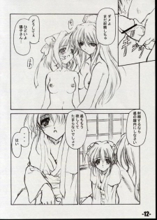 (C61) [EXtage (Minakami Hiroki)] EXtra Stage vol.06 (Dai Akuji) - page 12