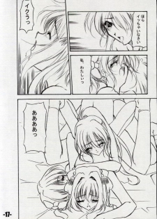 (C61) [EXtage (Minakami Hiroki)] EXtra Stage vol.06 (Dai Akuji) - page 17