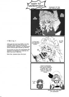 (C78) [BURUMAN (Tajima Yuki)] S&M Violence (Touhou Project) [English] =LWB= - page 4