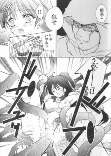 (C63) [Glassed Concrete (Narita Riuku)] Gusha no Kogane (Shining Sword Romance) - page 14