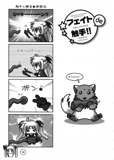 [STUDIO PAL (Nanno Koto, Kenzaki Mikuri)] Mahou Shoujo Zenryoku Zenkai (Mahou Shoujo Lyrical Nanoha) - page 13