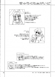 (Comic Characters! 1) [PLUM (Kanna)] Magenarok.Extra, (Ragnarok Online) - page 3