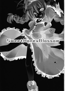 (SC40) [Einhorn (nio)] Sweet Honey Blossom (Mahou Shoujo Lyrical Nanoha A`s) - page 3