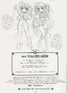 (ComiComi13) [PLUM (Kanna)] Mahou Shoujo Magical SEED SADISM (Mahou Shoujo Lyrical Nanoha) - page 28