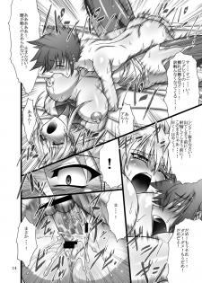 (C78) [Bobcaters (Hamon Ai, r13)] Kyoudou (Tales of the Abyss) - page 14