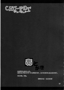 (C78) [Uso Seisakujo (Harukaze Unipo)] CHU-PET (Touhou Project) [English] [desudesu] - page 26