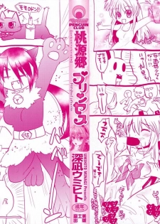 [Minagi Umihito] Tougenkyou Princess - page 3