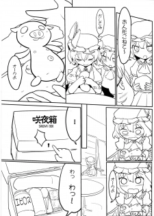 (C78) [Yashiya (YASSY)] Chotto Ecchi na Flan-chan (Touhou Project) - page 27