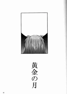 [Manga Super (Nekoi Mie)] Wonderful World (Neon Genesis Evangelion) - page 40