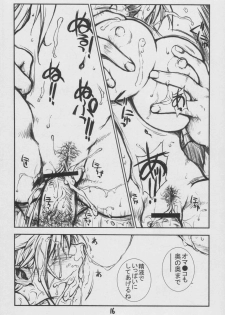 (C67) [Mouretsu Asia Tai / Violence Asia Team (Burubera)] Shoumikigen no Bimyou na Ichigo 2 Kame (Ichigo 100%) - page 15