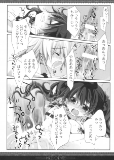 (SC48) [CHRONOLOG, D.N.A.Lab. (Sakurazawa Izumi, Miyasu Risa)] HIDOIME (Touhou Project) - page 40