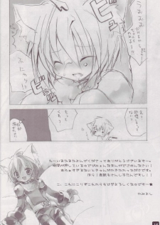 (CR37) [HYPER BRAND (Ishihara Masumi)] Operation Ragnarok ~Kind Lady~ (Ragnarok Online) - page 18