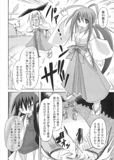 (C75) [Triple Pinch! (Suika)] freeze 10 Denshou - page 6