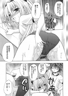 (C74) [Studio Wallaby (Shizaki Masayuki)] Ecchii no wa Suki Desu ka? 2 (To LOVE-Ru) - page 17